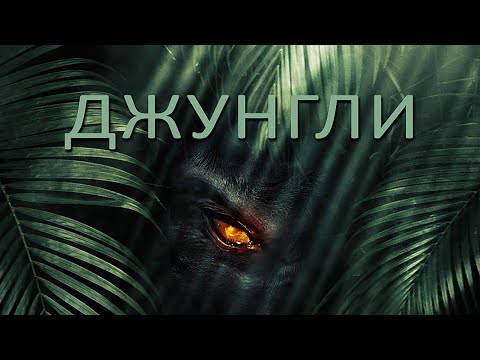 Джунгли