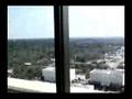 Tallahassee view