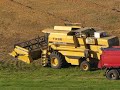 NewHolland TX 66 žně