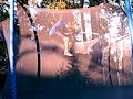 lol jumping kids