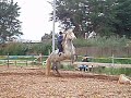 moi sur enzo