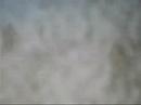 2007 Luck of the Knolls Novice Start