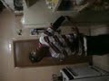 chris-kujuan-lateef swing it
