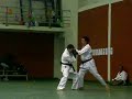 Goju-Ryu Irikumi