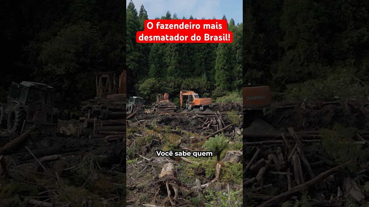 O Fazendeiro Mais Desmatador Do Brasil