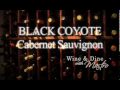Black Coyote Cabernet Sauvignon