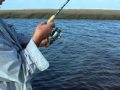 Windy Day Redfishing!