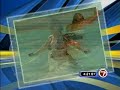 AQUAVEE - WSVN-7 Style File