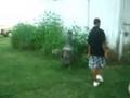 dj winkler frontflip
