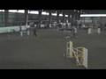 MHDPC AKC Jester STD 2-2-08