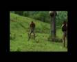Dytesaft Trailer