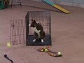 Crate Games