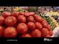 Enjoy Life - Bosnia & Herzegovina Video 1..9 all in one