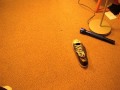 sole-mates, a stop motion animation about a lonely shoe, featuring bon iver's