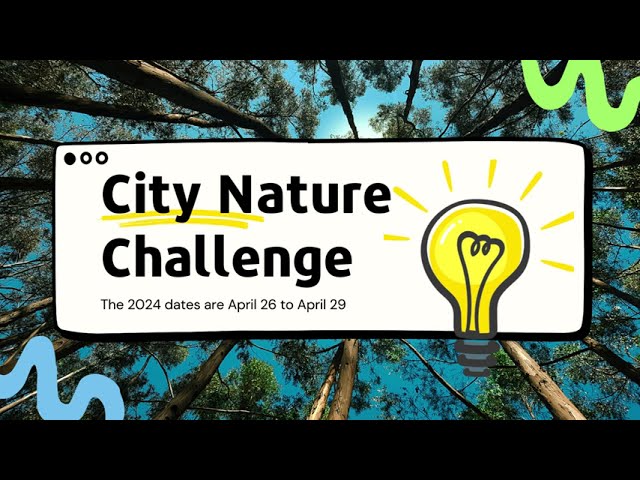 City Nature Challenge Apr 26-29 CNC YXE 2024 in Events in Saskatoon