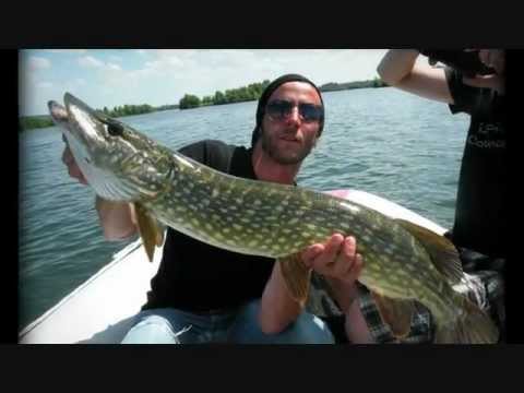 "Pike Strike" vidéo