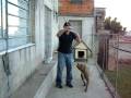 videos de salto choko.AVI