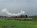 1638 Horsted Keynes Bluebell 110807