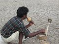 Snake charmer