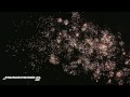 Team 13: Crazy Fireworks