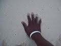 Bimini Beach