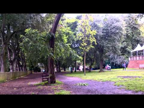 how to silence bb camera