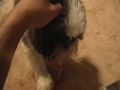 JBTV Mini Episode-Neo and his steak