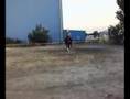Reinless Riding 1