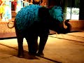 Gajah Godek Gajah Godek
