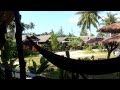 Утро на острове Ко Панган , Тайланд 2012 (Thailand,Koh Phangan)
