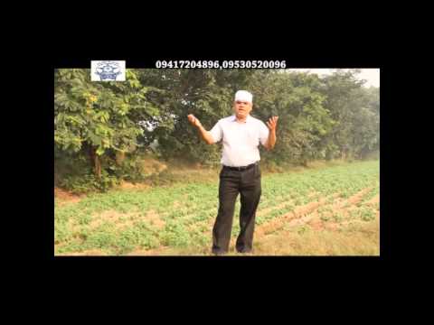 Jevan Nu Safal Bana Bandeya || Hans Raj Salar Puri