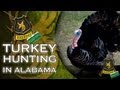 Eastern Turkey Hunting in Alabama & introducing ...
