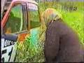 Wroblewski/Kaczmarek & Sikora/Scieciński crash-Rally Elmot95