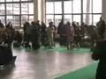 Bulldog Francés video