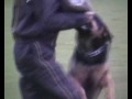 Training te Aalst 29.04.08Pakwerker Chris Ghysens