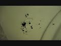 1937 Packard 120 CD Restoration Part 9 - Transitions.wmv 1937 Packard 120 CD Restoration Part 9 - Transitions.wmv