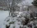 videos de bunker en la nieve