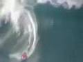 Illegal Manoeuvres - Hawaii