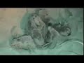 LOGGERHEAD SEA TURTLE CARETTA LAST NEST HATCH SOUTH CAROLINA