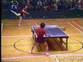 expert pink ponk (table tennis)
