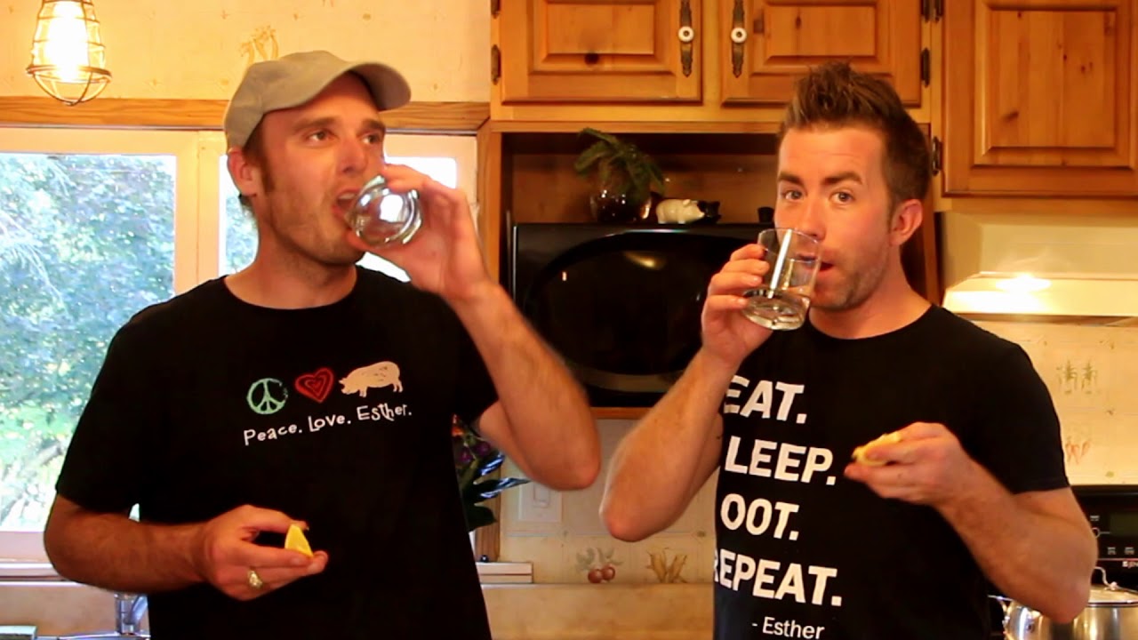 Check out these vegan cooking YouTube channels Dazzlepop