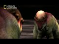 (4) Dinosaurios Extraños - Locuras de la Evolución