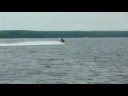 I thought RXP's were faster.