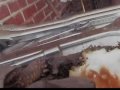 hungry turtle camera star2of4