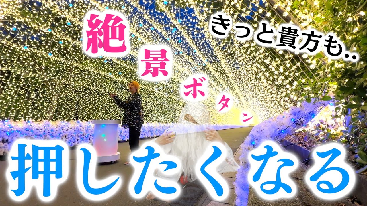 動画2