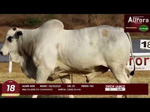 4� De Olho na Fazenda - NELORE AURORA participa��o Chico Paulic�ia