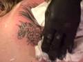 videos de Video 55
