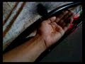 Finch eats from hand