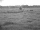 entrenando-schweizer-300-cbi.html