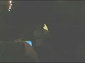 Rob singing karaoke in Waikiki